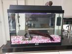 Juwel Monolux 60 aquarium, Ophalen, Gebruikt, Leeg aquarium