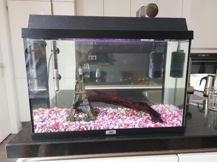 Juwel Monolux 60 aquarium, Dieren en Toebehoren, Vissen | Aquaria en Toebehoren, Gebruikt, Leeg aquarium, Ophalen