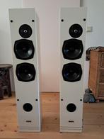 Hepta Street Gold, Audio, Tv en Foto, Luidsprekers, Gebruikt, Overige typen, 60 tot 120 watt, Ophalen