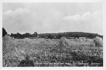 (387-197-051) Barchem Ons Genoegen beschikbaar voor biedingen