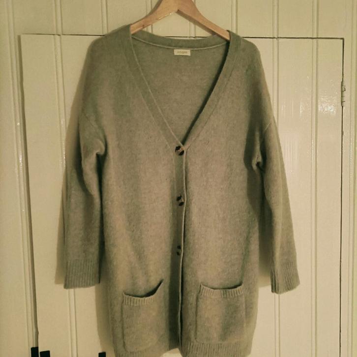 Prachtig vest JcSophie maat XL, Kleding | Dames, Truien en Vesten, Zo goed als nieuw, Maat 42/44 (L), Groen, Verzenden