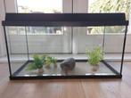 juwel 80 aquarium, Ophalen, Gebruikt, Leeg aquarium
