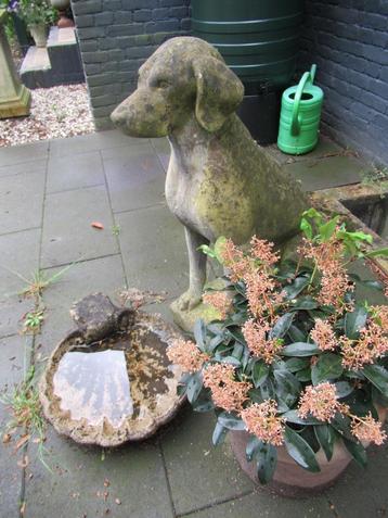 oude SCHELP van BETON / vogelbad / vogeldrinkbak, tuin beschikbaar voor biedingen