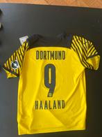 Haaland shirt Borussia Dortmund 2021-22 - Nieuw!, Sport en Fitness, Voetbal, Ophalen of Verzenden, Nieuw
