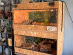 Terrarium met onder kast, Dieren en Toebehoren, Ophalen of Verzenden, Gebruikt, Terrarium of Paludarium