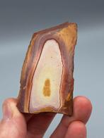 Rhyoliet "Wonderstone" - Zion, Utah, USA, Ophalen of Verzenden, Mineraal