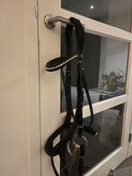 Hoofdstel Schockemohle equitus beta anatomische  met bit, Ophalen of Verzenden, Gebruikt, Recreatie