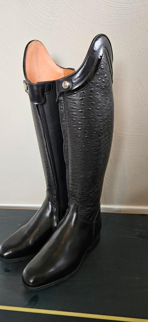 Nieuwe Celeris rijlaarzen zwart mt 38, Dieren en Toebehoren, Paardrijkleding, Nieuw, Schoeisel, Dressuur, Ophalen of Verzenden
