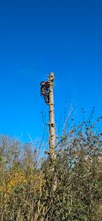 Bomen kappen en snoeien, Tuin en Terras, Verzenden, Volle zon, Overige soorten