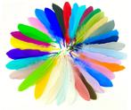 50 stuks veren 15-20 cm multicolor felle- en pastelkleuren, Ophalen of Verzenden