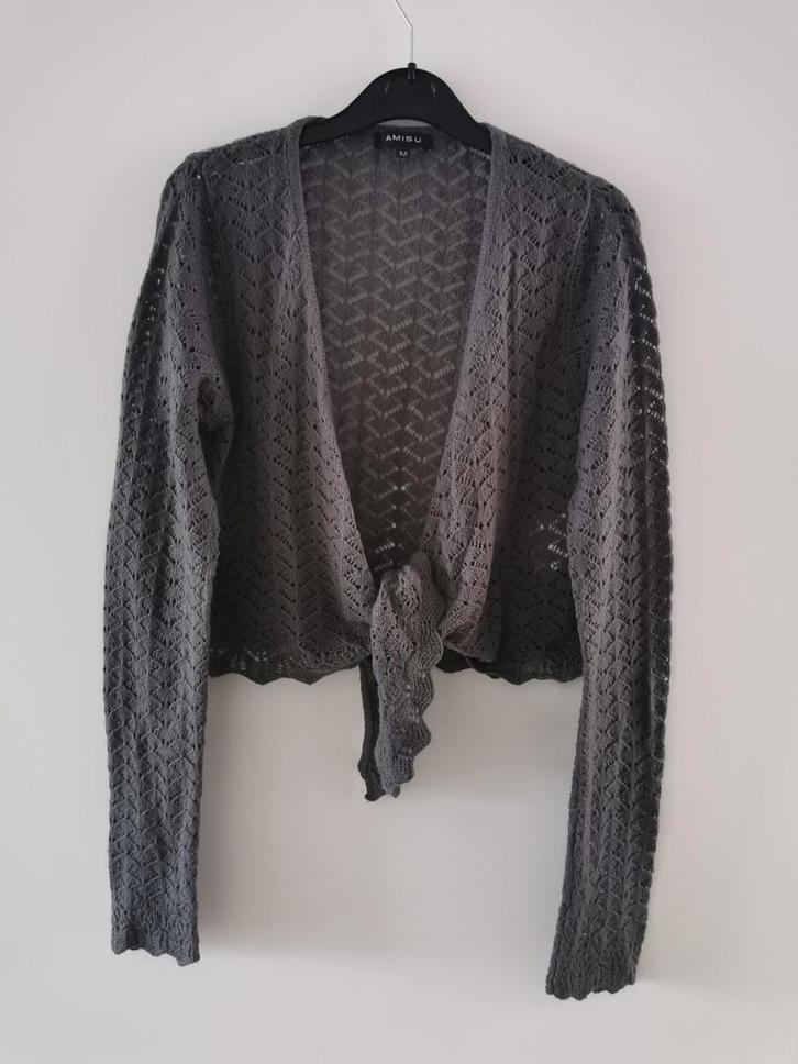 Amisu vest mt. M, Kleding | Dames, Truien en Vesten, Nieuw, Maat 38/40 (M), Grijs, Verzenden