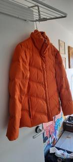Esprit Winterjas, Maat 38/40 (M), Oranje, Ophalen of Verzenden, Gedragen