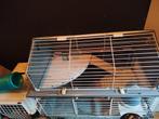 Male Angora Ferret, Dieren en Toebehoren, Ophalen of Verzenden, Zo goed als nieuw, Kooi, Minder dan 60 cm