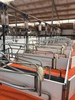 Kraamhokken uit 2021 [444], Dieren en Toebehoren, Boekhorst Trading, Info@boekhorsttrading.com, Singel 16, Horssen