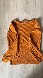 Mooie trui van Froy en Dind, Ophalen of Verzenden, Zo goed als nieuw, Maat 34 (XS) of kleiner