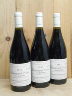 3x POMMARD RUGIENS 2014, 1er Cru, Joseph Voillot, Verzamelen, Verzenden, Frankrijk, Nieuw, Rode wijn