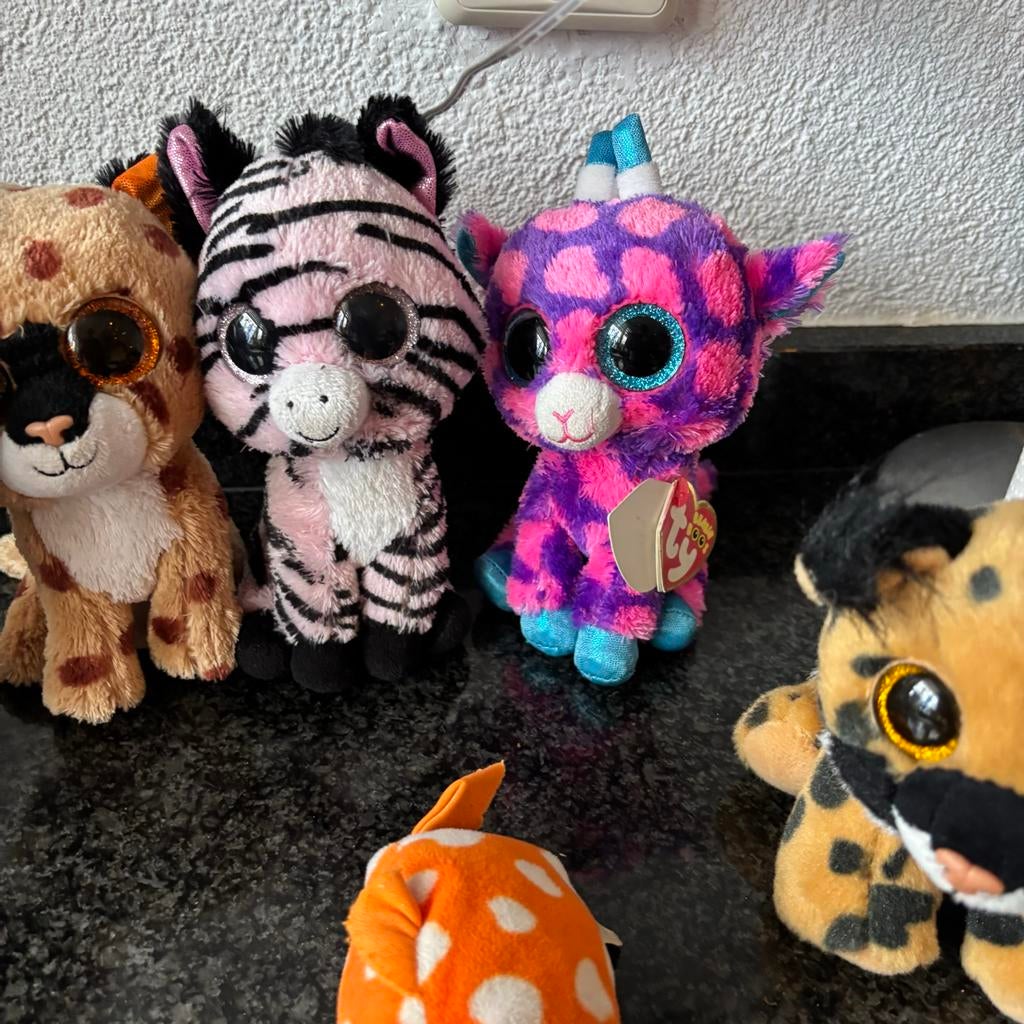 Ty Beanie Boo Knuffels - Leuke Collectie!, Ophalen of Verzenden, Zo goed als nieuw, Overige typen
