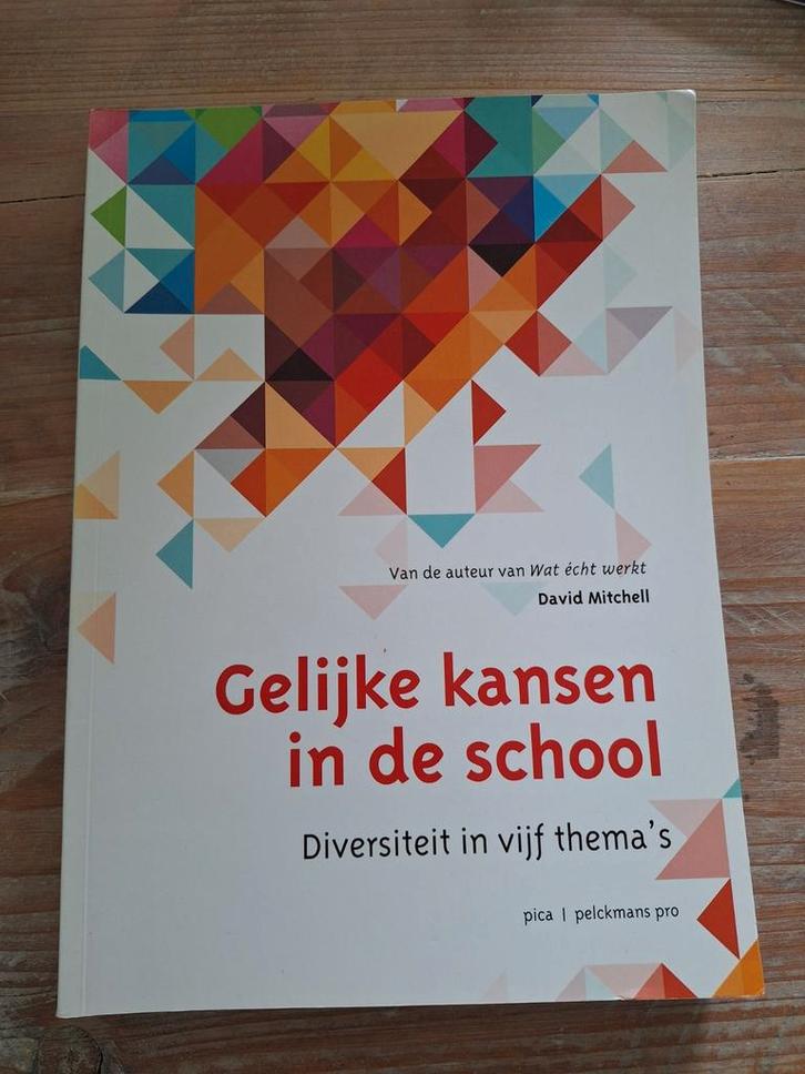 Gelijke kansen in de school - David Mitchell, Boeken, Studieboeken en Cursussen, Gelezen, HBO, Gamma, Ophalen of Verzenden