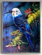 Diamond painting: blauwe parkiet (BOX D-53), Ophalen, Nieuw, Knutselwerk