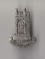 Leersum Uilentoren broche, Verzamelen, Speldjes, Pins en Buttons, Gebruikt, Niet vindbaar, Niet vindbaar, Speldje of Pin
