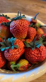 Aardbeien ( nep), Verzenden