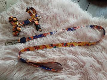 Lindo tuigje + riem maat M  beschikbaar voor biedingen