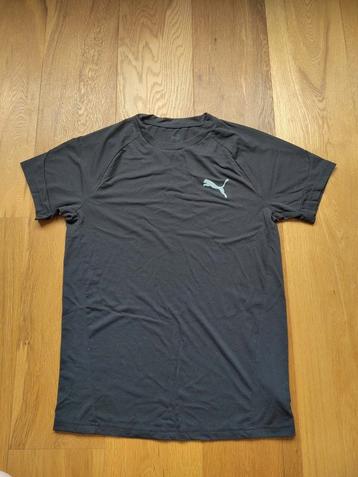 6x Puma t shirt korte mouw zwart maat M Evostripe beschikbaar voor biedingen