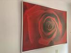 Roos schilderij IKEA, Antiek en Kunst, Kunst | Schilderijen | Abstract, Ophalen