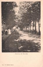 Groeten uit Borculo, lijkt op Hoflaan (Rond 1900) 129547, Verzenden, Voor 1920, Ongelopen, Gelderland
