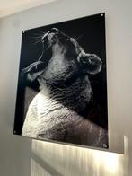 Leeuwin op plexiglas op chrome afstands houders - 70x90cm, Antiek en Kunst, Kunst | Schilderijen | Abstract, Ophalen