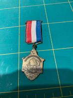 Medaille wandelsportorganisatie KNBLO, Ophalen of Verzenden, Brons, Nederland
