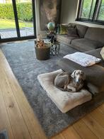 Vloerkleed taupe, Ophalen, 200 cm of meer, Zo goed als nieuw, 200 cm of meer