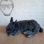 Blauwe Wener konijn taxidermie opgezet, Ophalen of Verzenden, Nieuw, Overige soorten, Opgezet dier