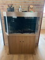 Aquarium inclusief meubel, Ophalen of Verzenden, Gebruikt, Leeg aquarium