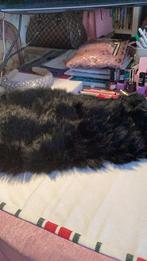 Col nep bont elasties, Ophalen of Verzenden, Zo goed als nieuw, Maat 38/40 (M), Sjaal