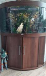verkoop juwel trigon 190 liter hoek aquarium met meubel incl, Dieren en Toebehoren, Vissen | Aquaria en Toebehoren, Ophalen of Verzenden