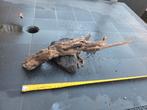 Aquarium hout 38cm, Dieren en Toebehoren, Vissen | Aquaria en Toebehoren, Ophalen of Verzenden, Gebruikt, Plant(en), Steen of Hout