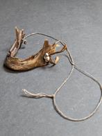 Halsketting met onderkaak van een menselijke schedel , Asmat, Antiek en Kunst, Kunst | Niet-Westerse kunst, Ophalen of Verzenden