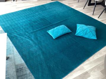 Plaid velours met 2 kussens beschikbaar voor biedingen