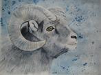 Aquarel Ram (op blauwe achtergrond), Ophalen, Minder dan 50 cm, Oorspronkelijke maker, Nieuw