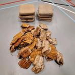Honkbal set (handschoenen en honken), Ophalen of Verzenden, Gebruikt, Handschoen