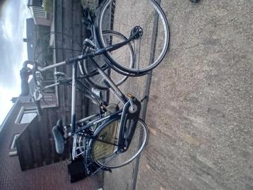 Cortina herenfiets 7 versnellingen  beschikbaar voor biedingen