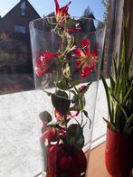 Glazen vazen, Ophalen, Overige kleuren, Glas, Minder dan 50 cm