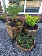 ZATERDAG OPEN!! Bloembakken - set van 3 - eiken -whiskyvaten, Tuin, Minder dan 60 cm, Rond, Nieuw
