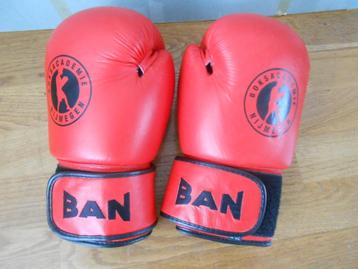 bokshandschoenen Professional boxing gloves beschikbaar voor biedingen