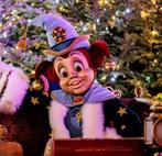 4 tickets UNOX winterefteling zaterdag 17 januari, Tickets en Kaartjes, Drie personen of meer, Ticket of Toegangskaart