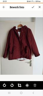 Winterjas  dames, Ophalen of Verzenden, Nieuw, Zwart