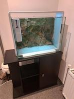 Superfish home 80 aquarium (wit) met onderkast (zwart), Dieren en Toebehoren, Ophalen, Gebruikt, Terrarium of Paludarium