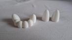 Fursuit tanden set fursuit teeth set, Ophalen of Verzenden, Nieuw