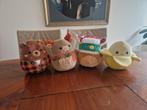 Squishmallows Set van 4 Knuffels, Ophalen of Verzenden, Zo goed als nieuw, Beer